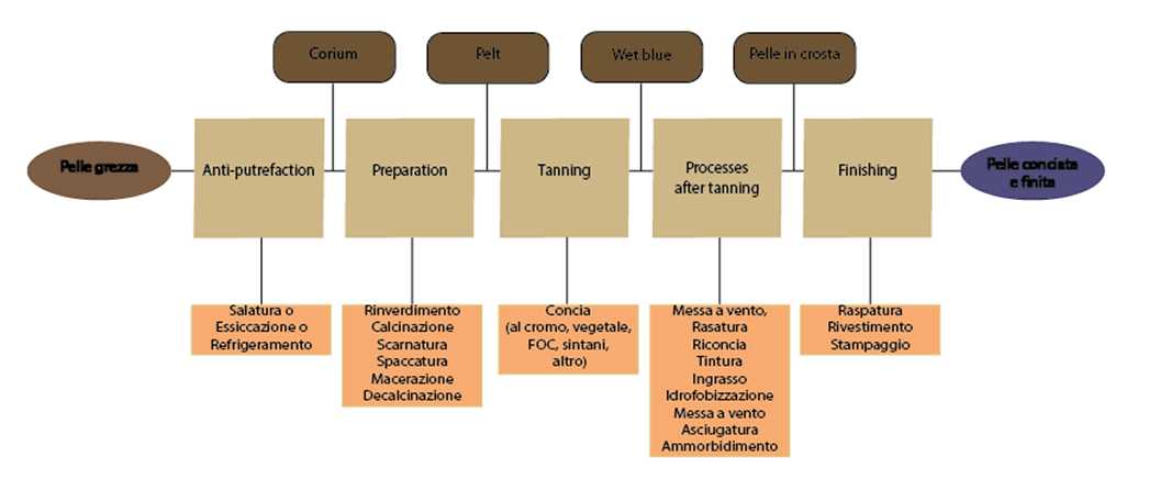 Figura 2: Processi di lavorazione della pelle e relativi prodotti intermedi