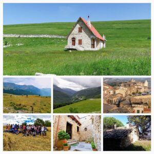 Alta Formazione